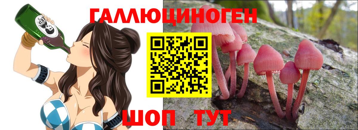 Галлюциногенные грибы Cubensis Бугульма